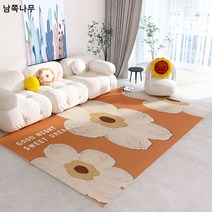 카펫 거실 ins풍 고급스러운 티 테이블 담요 방 미끄럼 방지 침실 침대 옆 담요 가정용 심플 소파 매트