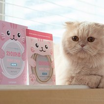 캣츠모리 고양이 덴탈껌 와이어츄 닭고기맛 1box/애견간식 고양이껌