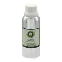 알브이 에센셜 퓨어 홍화 캐리어 오일 300ml 10oz - 카르타무스 틴크토리우스 순수 및 자연 냉간 프레스 100% R V Essential 427572, 300ml (10unzen)