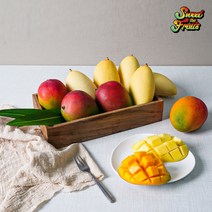 항공수입 국내검수완료 실속형 골드망고 3과 + 애플망고 2과 (1.6kg내외), 애플망고 실속형 4과 (1.6kg내외)