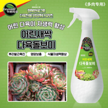 KEYMADO 다육돌보미 카나마도 발아촉진제 행복한꽃그릇 제4종복합비료 화초용, 1개
