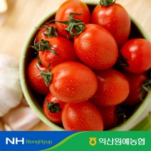 [익산원예농협] 익산 탑마루 대추방울토마토 2kg(1kgX2팩) 1-3번 로얄과, 2kg