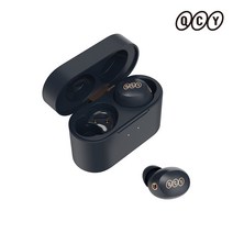 QCY ANC 노이즈캔슬링 블루투스 이어폰, 블랙, QCY-HT01C APP
