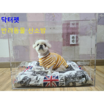 닥터 펫 (단품구매) 반려동물산소방 아크릴산소방 단품 / 강아지 고양이 산소방