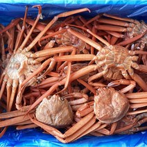 [구룡포 자연산 산지직송] 가성비 연지홍게 4kg (12~16미) 모임 생일 파티 당일조업 당일발송 순차배송 자숙 산지직송 라면용 육수용 파지 포항 홍게 찜발송, 3.자연산 구룡포 로얄 박달 연지홍게 3kg, 1개