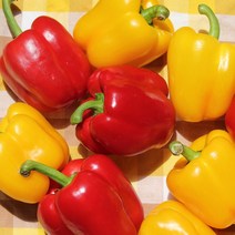 [전남생협] 아삭아삭한 파프리카 혼합 1kg, 상세 설명 참조