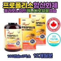 플로폴리스 플라보노이드 항산화제 영양제 캐나다산 직구 여자 남자 가족 항산화 플라보노이드 로얄 프로폴리스의효능 PROPOLIS 복용 먹는법 캡슐 2통 12개월분