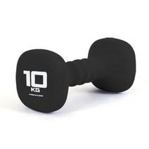 아이워너 네오프렌 사각아령 10KG 근력운동 덤벨 헬스 바벨, 없음
