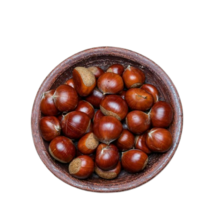 국내산 23년 첫 수확 명품 초신선 햇밤 탱탱밤, 1개, 특대1kg