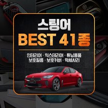 [골져스] 스팅어 튜닝 악세사리 DIY 몰딩용품 모음 41종, 38번.플래티넘 썬글라스 클립-블랙(클로저)