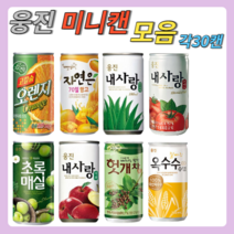 웅진 미니캔 30캔 모음 매실/오렌지/망고/토마토/사과/알로에/옥수수수염차/헛개 과일 음료, 옥수수수염차 30캔