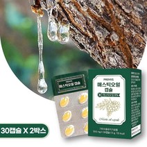 매스틱오일 매스틱복합체 캡슐 정 매스틱검 메스틱검 MASTICGUM greek 마스틱 하이 추천, 2개, 30캡슐
