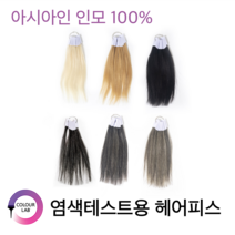 컬러연구소 염색 탈색테스트 헤어피스 6종 (백모 브라운 자연모 새치모30% 50% 75%), 글루 타입