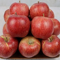 아삭한 식감 달콤한 꿀과즙 양구 부사 꼭지사과 5kg, 상품 5kg