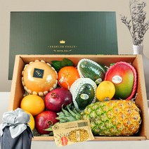 프리미엄 혼합 과일선물세트 10개+1개 애플망고 사과 레드향 설날 명절 과일박스 바구니2호