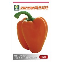 새론 삼척 오이 씨앗 50립 - 가시오이 오이씨앗 야채씨앗 채소씨앗 채소재배 종묘 종자 베란다 텃밭 씨 씨앗 호박 방울토마토 수박 참외, 24_다농_오메가 오렌지파프리카(10립)