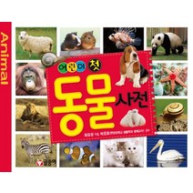 어린이 첫 동물 사전, 글송이