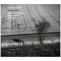 아비샤이 코헨 Avishai Cohen Naked Truth LP 음반 바이닐 레코드 앨범