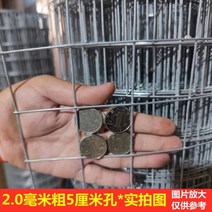 해태망 울타리망 비둘기망 고라니망 노루망 그물망 울타리망 5 cm 메쉬 울타리 그물 용융 아연 도금 철망 닭 사육 누출 분뇨 그물 격리 그물 울타리 그물 보호 그물, 2.0 미터 높이  5 cm 메쉬 2.0 두께 2