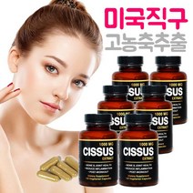 다이어터스 시서스 가루 미국 직구 6병 캡슐 알약 씨서스 분말 효능 추천 9개월분, 100개입