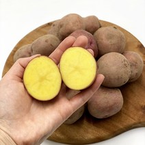 국내산 햇 홍감자 특 왕특 속이노란 카스테라 감자 3kg 5kg 10kg, 홍감자 왕특