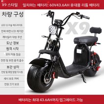 리튬 전기 스쿠터 더블 대형 타이어 팩 도시 할리 자전거 배터리 자동차 전동 오토바이 바이크, 13. X9 모델 43.6A 탈착식, 60V