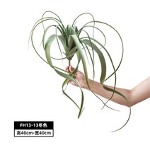 틸란드시아 대형 그린 인테리어 베란다 정원 조화 인조 식물 플랜테리어 세로그라피카 코튼캔디 에어플랜트, FH13-13겨울