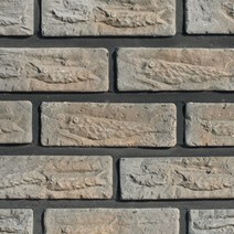 [대진씨엠] 쥬라기 파벽 MB-0984