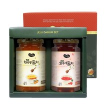 제주담움 명차 2종 선물세트, 한라봉꿀차 450g + 청귤차 450g, 1세트