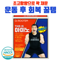 닥터루템 디스 이즈 아미노 BCAA 근육통완화, 1개