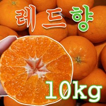 레드향10kg 고당도 가정용 레드향 겨울과일 못난이레드향