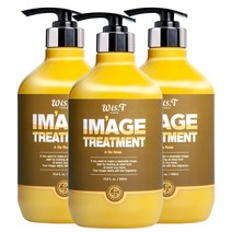 위스티 이미지 극손상 헤어트리트먼트 아라로즈 500ml, 3개