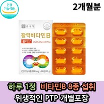 종근당 활력 비타민B 고함량 비타민B군 영양제 60정