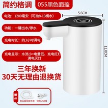 물 펌프 디스펜서 충전 취수기 무선 전기 자동 물통 미네랄 캠핑 생수 야외 워터 스마트 가정용, 화이트+빅 배터리+사운드+롱 항속