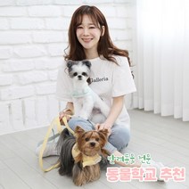 리토가토 러비 커스텀 캐릭터 강아지 하네스 옐로우 (컴퓨터 자수) 동물학교 추천, 핑크