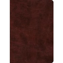 ESV Super Giant Print Bible (TruTone Burgundy) [Imitation Leather]