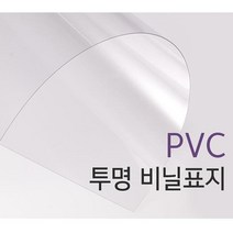 카피어랜드 제본용표지 PVC A4 0.2MM 100매, 옵션선택-투명, 투명