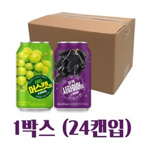 블랙사파이어/샤인머스캣 스파클링 캔 2종 1박스(24캔입), 블랙12+샤인12