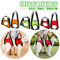 애완용품 슬개골탈구 장애견 다리밴드 휠체어 애완동물 보조벨트 노년장애 개 뒷다리 보조관절 뒷다리 금모 견인, 04 오렌지 뒷다리, 01 S 소형