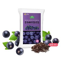 블루베리전용상토 50L 유럽산 피트모스 보온 보수 보비력, 블루베리전용상토50L