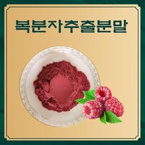 복분자추출분말 50g 샘플 과채농축 액 야채 향분말 과일 과즙분말, 1, 본상품선택, 본상품선택