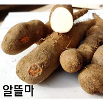 안동산약마을 산마 알뜰마_2kg 안동마/안동산마/햇마/참마/안동장마/알뜰마, 1box, 3kg(한정수량)