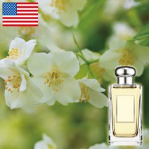 프래그런스오일 FFS 미국향 화이트쟈스민&민트, 1개, 100ml