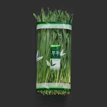 태방샵 공식쇼핑몰C-42 (부추)과일 야채 채소 포장재 필름 봉투 용기 PE OPP PET