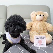 꼬잇 도어사인 강아지 고양이 디자인 문패 강아지가 짖어요 아크릴 스티커, 강아지_푸들