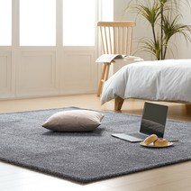더블유에스컴퍼니 포레스트 물세탁가능 샤기 10mm 사계절 사각 러그