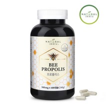 대용량 캐나다 프로폴리스 8개월분 500mg x 480캡슐 내추럴이믹스