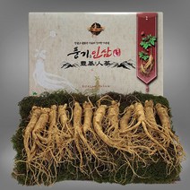 [풍기인삼] 5년근 수삼 500g (10-13뿌리/쇼핑백 증정)