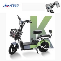 세계일주 성인 전기 자전거 48V 12A 40-55km 주행가능거리 여성용 전기자전거 CK2, 녹색