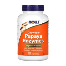 나우푸드 파파야 엔자임 효소 PapayaEnzymes 360 로렌지 소르비톨 만니톨 파파인 브로멜린 브로멜라인 파인애플 프로테아제